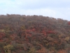 2014.10.26_-_Nasu0114