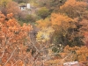 2014.10.26_-_Nasu0118