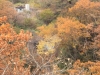 2014.10.26_-_Nasu0119