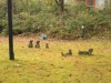 2014.10.26_-_Nasu0129