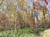 DSC00876