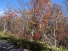 DSC00877