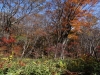 DSC00878