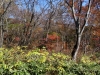 DSC00879
