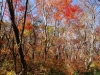 DSC00880