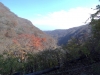 DSC00894