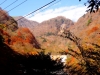 DSC00895
