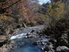 DSC00901