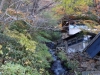 DSC00908