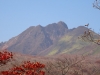 DSC00914