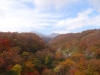 DSC00915