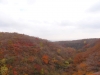 DSC00916