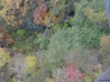 DSC00920