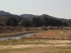 2014_Hanami-0007