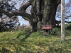 2014_Hanami-0034