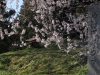 2014_Hanami-0035
