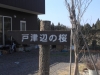 2014_Hanami-0044