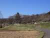 2014_Hanami-0045