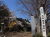 2014_Hanami-0062