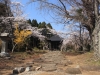 2014_Hanami-0063