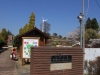 2014_Hanami-0066