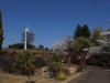 2014_Hanami-0067