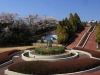 2014_Hanami-0069