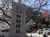 2014_Hanami-0071