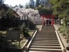 2014_Hanami-0072