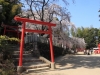 2014_Hanami-0076