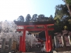 2014_Hanami-0087