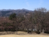 2014_Hanami-0093