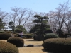 2014_Hanami-0099