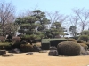 2014_Hanami-0102