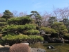 2014_Hanami-0106
