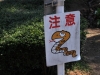 2014_Hanami-0125