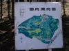 2014_Hanami-0132