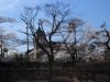 2014_Hanami-0175
