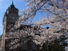 2014_Hanami-0182