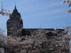 2014_Hanami-0186