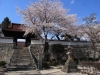 2014_Hanami-0197