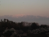 2014_Hanami-0241