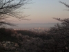 2014_Hanami-0243