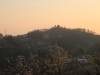 2014_Hanami-0256