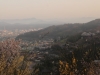 2014_Hanami-0257