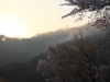 2014_Hanami-0261