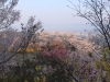 2014_Hanami-0272