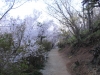 2014_Hanami-0299