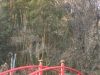 2014_Hanami-0305