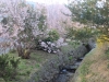 2014_Hanami-0325